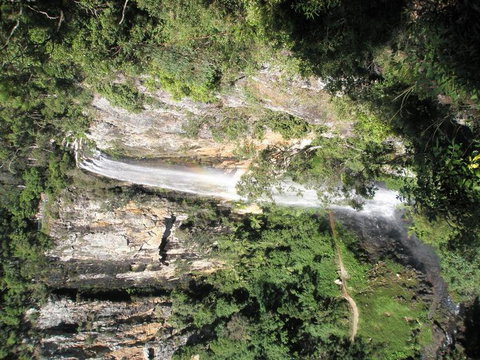 Springbrook National Park Discovery Full-Day Bushwalking Tour - Accommodation QLD 23