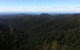 Springbrook National Park Discovery Full-Day Bushwalking Tour - thumb 25
