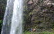 Springbrook National Park Discovery Full-Day Bushwalking Tour - thumb 1