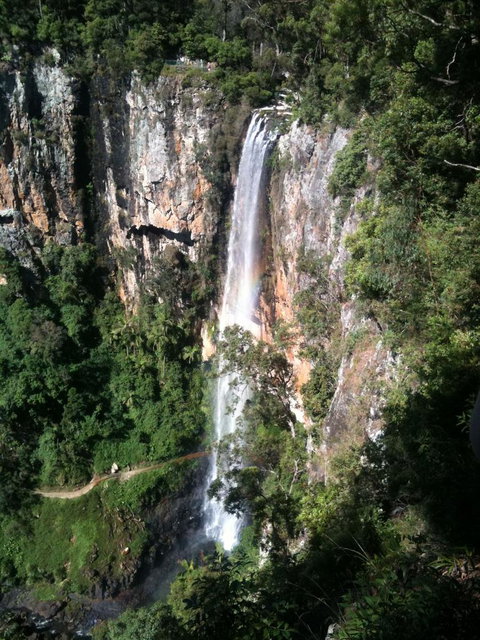 Springbrook National Park Discovery Full-Day Bushwalking Tour - Accommodation QLD 24