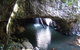 Springbrook National Park Discovery Full-Day Bushwalking Tour - thumb 7