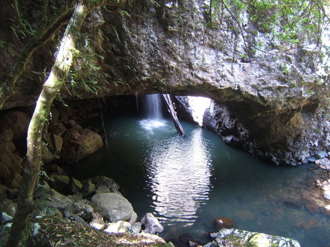Springbrook National Park Discovery Full-Day Bushwalking Tour - Accommodation QLD 7