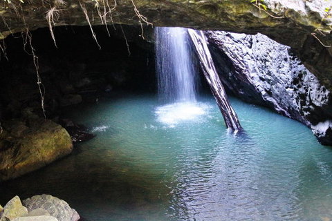 Springbrook National Park Discovery Full-Day Bushwalking Tour - Accommodation QLD 6