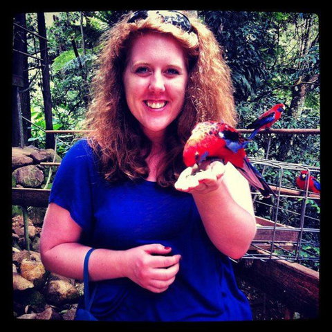 Springbrook National Park Discovery Full-Day Bushwalking Tour - Accommodation QLD 8