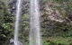 Springbrook National Park Discovery Full-Day Bushwalking Tour - thumb 17