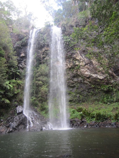 Springbrook National Park Discovery Full-Day Bushwalking Tour - Accommodation QLD 17
