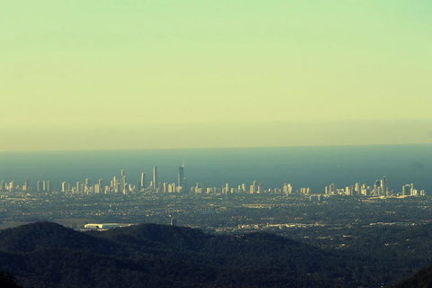 Springbrook National Park Discovery Full-Day Bushwalking Tour - Accommodation QLD 4
