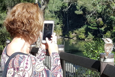 Personalised Private Platypus Land Tour - Accommodation QLD 1