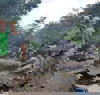 Personalised Private Platypus Land Tour - Accommodation QLD