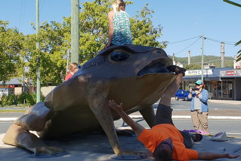 Personalised Private Platypus Land Tour - Accommodation QLD 5