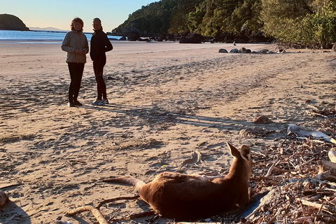 Personalised Private Platypus Land Tour - Accommodation QLD 10