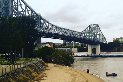 Brisbane River Guided Evening Tour By Kayak - Our Most Popular Tour - Accommodation QLD 6