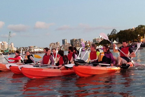 Brisbane River Guided Evening Tour By Kayak - Our Most Popular Tour - Accommodation QLD 4