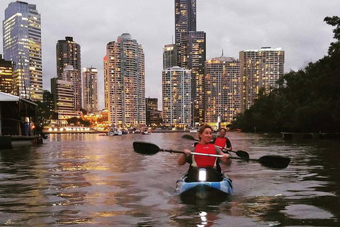 Brisbane River Guided Evening Tour By Kayak - Our Most Popular Tour - Accommodation QLD 2