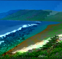 Cairns Reef and Rainforest Combo Daintree Rainforest and the Great Barrier Reef - Accommodation QLD