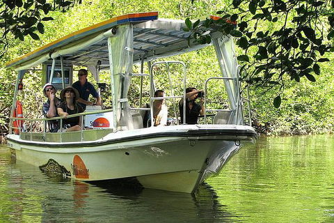 Cairns Reef And Rainforest Combo: Daintree Rainforest And The Great Barrier Reef - Accommodation QLD 5