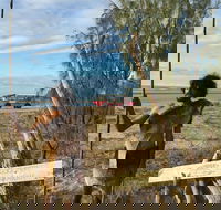 Goolimbil Walkabout Indigenous Experience in the Town of 1770 - Accommodation QLD
