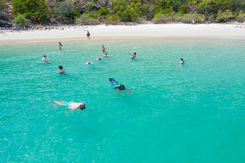 Stray Australia: Brisbane To Cairns Freestyle Tour - Accommodation QLD 1