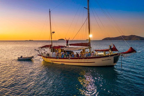 Stray Australia: Brisbane To Cairns Freestyle Tour - Accommodation QLD 0