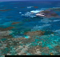 Quicksilver Outer Great Barrier Reef Snorkel Cruise from Port Douglas - Accommodation QLD