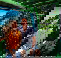 Skyrail Rainforest Cableway Day Trip from Palm Cove - Accommodation QLD