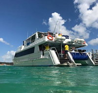 Eco Marine Safari - Boom netting  Snorkeling Moreton Island - Fortitude Valley