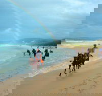 Rainbow Beach Horse Ride - Accommodation QLD