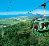 Kuranda Full-Day Small-Group Tour from Port Douglas - Accommodation QLD