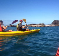 Port Douglas Half-Day Kayak Tour - Accommodation QLD