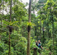 Cape Tribulation and Jungle Surfing Adventure Day from Port Douglas - Accommodation QLD