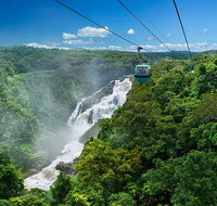 Skyrail Rainforest Cableway Day Trip from Port Douglas - Accommodation QLD
