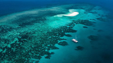 Outer Barrier Reef Sailing And Snorkeling Adventure From Port Douglas - Accommodation QLD 0