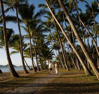 Port Douglas Round-Trip Transfer from Cairns with Free Time in Port Douglas - Accommodation QLD