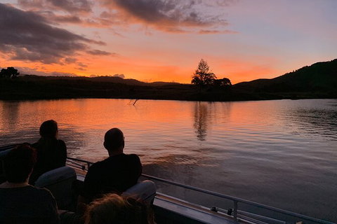 Daintree River Dawn Cruise - Accommodation QLD 8