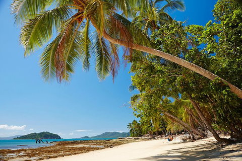 Private Daintree Wanderer Tour - Accommodation QLD 4