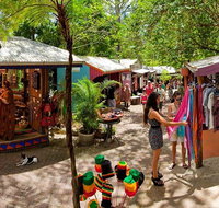 Kuranda Day Trip small group from Port Douglas by bus - Accommodation QLD