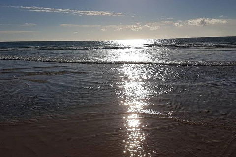 Land Based Game Fishing - Accommodation QLD 2