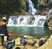 Lamington Day Tour