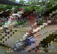 Hartley's Crocodile Adventures Day Trip from Cairns - Accommodation QLD