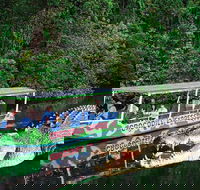 Daintree River Cruise - Accommodation QLD