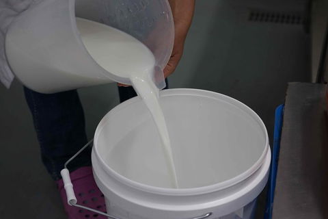 Camel Farm Lab Experience - Accommodation QLD 1