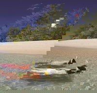 Wavedancer Low Isles Great Barrier Reef Sailing Cruise from Palm Cove - Accommodation QLD