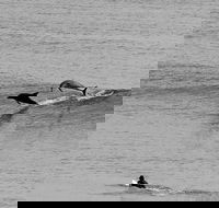 Overnight Tweed Coast Camping and Surfing Getaway From The Gold Coast - Accommodation QLD