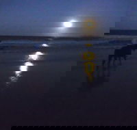 Full Moon Horse Ride at Rainbow Beach - Accommodation QLD
