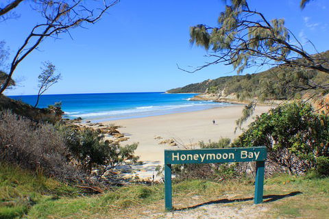 Fraser & Moreton Island 3-Day Scenic 4WD ECO Tour From Brisbane Or Gold Coast - Accommodation QLD 0