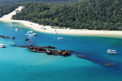 All Inclusive Dolphin And Tangalooma Wrecks Cruise Departing Gold Coast - Accommodation QLD 0