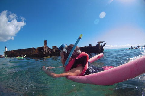 All Inclusive Dolphin And Tangalooma Wrecks Cruise Departing Gold Coast - Accommodation QLD 1