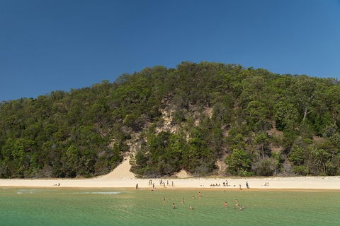 All Inclusive Dolphin And Tangalooma Wrecks Cruise Departing Gold Coast - Accommodation QLD 3