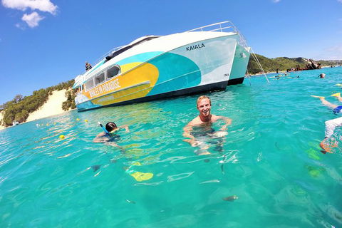 All Inclusive Dolphin And Tangalooma Wrecks Cruise Departing Gold Coast - Accommodation QLD 2