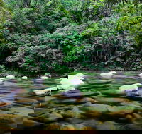 Mossman Silky Oaks to/from Cairns - Accommodation QLD